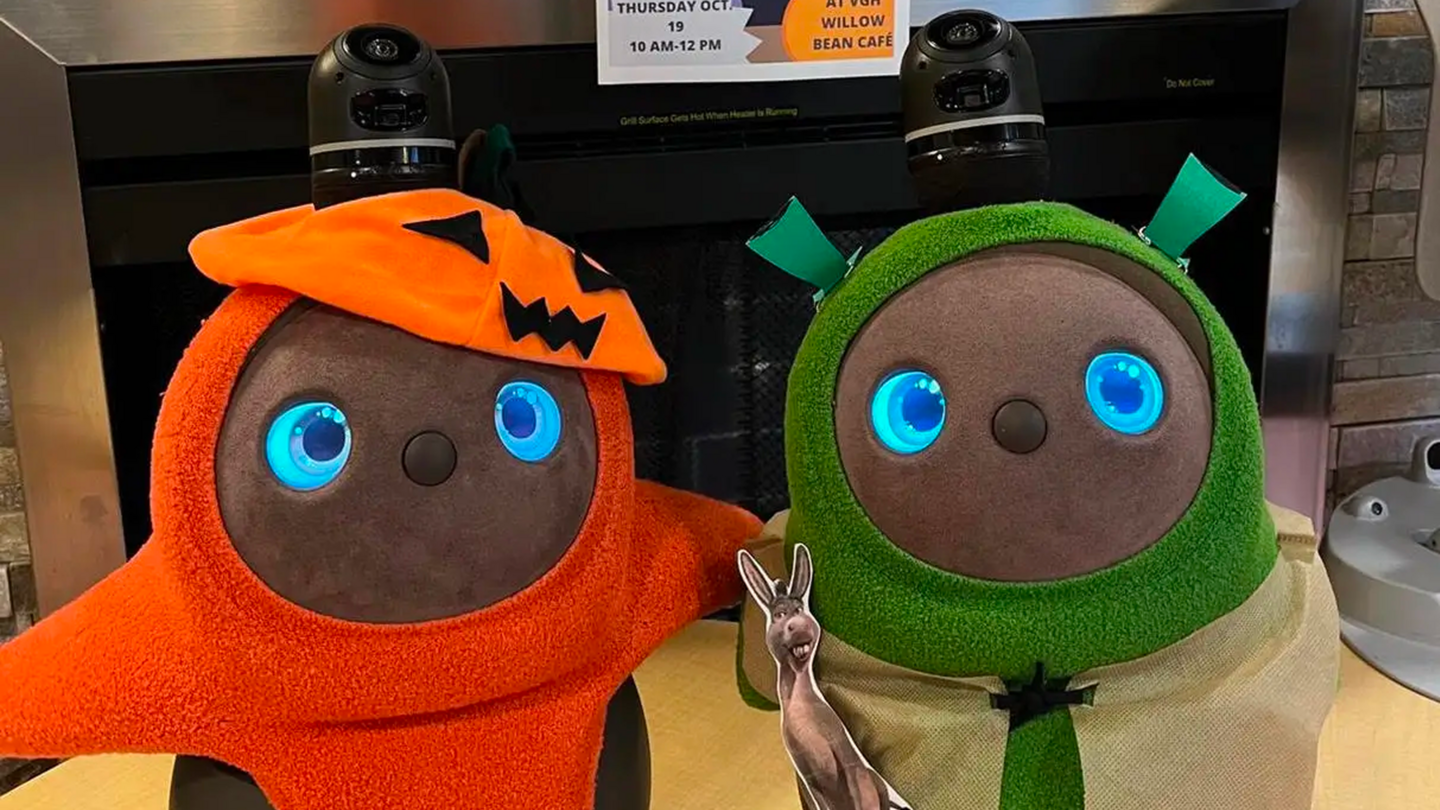 Two plush robots dressed for Halloween