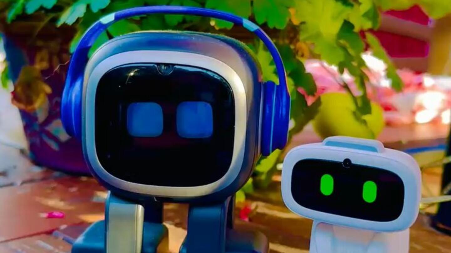 Two small robots