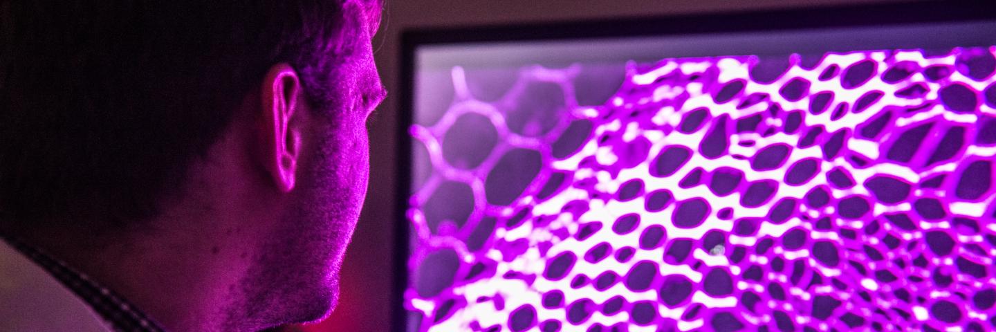 A researcher examines a screen with a purple rendering of cells