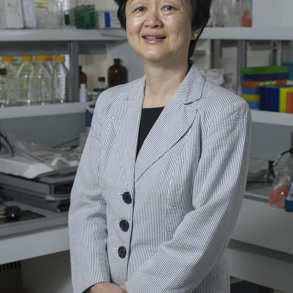 Wan Tan-Hogg