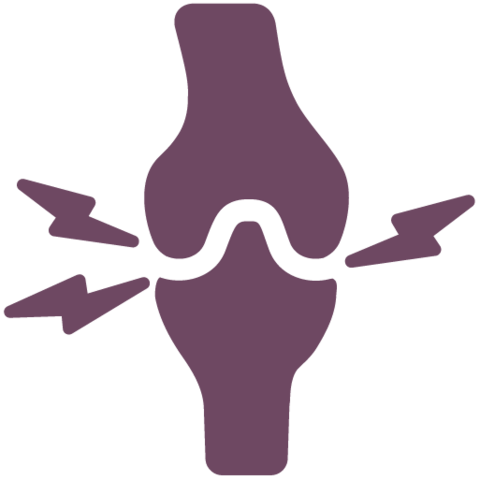 Bone icon