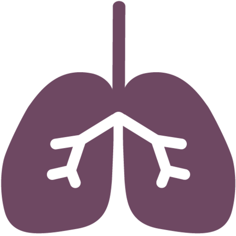 Breathing icon